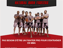 Tablet Screenshot of nbfighters.fr